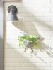 Galvanized Bird Wall Planter - Best for Indoor and Outdoor Plant Display